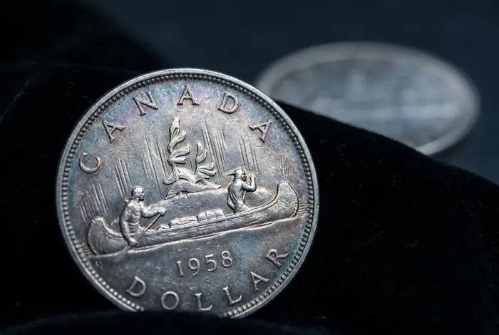 Toned Canadian silver dollar on black velvet